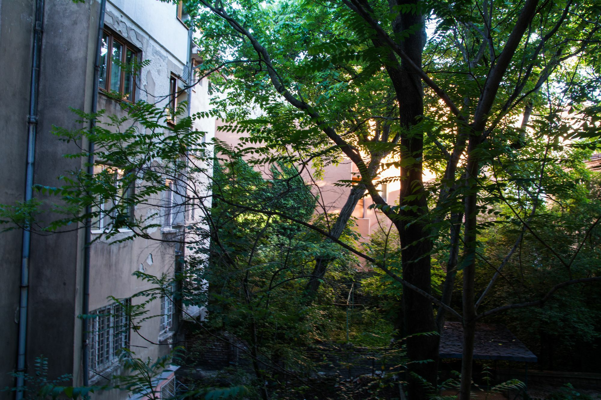 Peter Pan Hostel Sofia Exterior photo